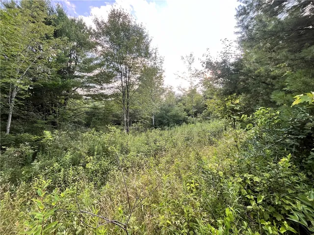 $139,900 | -held #12 Held Road, Erin, NY 14838