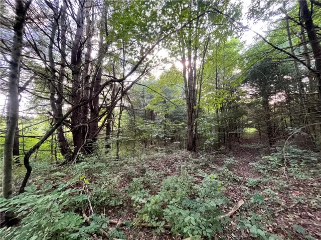 $139,900 | -held #12 Held Road, Erin, NY 14838