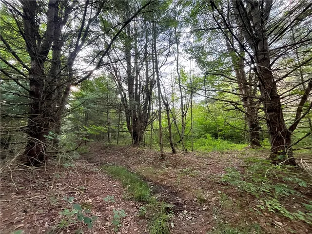 $139,900 | -held #12 Held Road, Erin, NY 14838