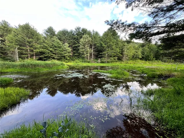 $139,900 | -held #12 Held Road, Erin, NY 14838