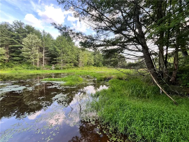 $139,900 | -held #12 Held Road, Erin, NY 14838