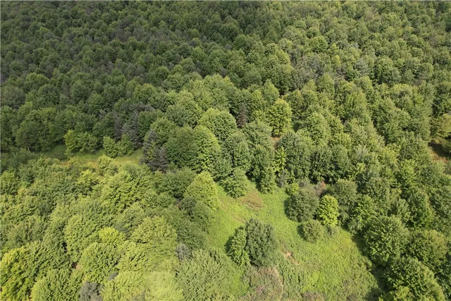 $139,900 | -held #12 Held Road, Erin, NY 14838