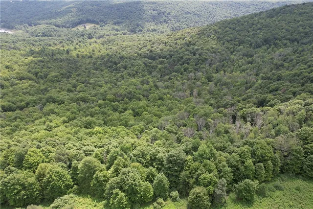 $139,900 | -held #12 Held Road, Erin, NY 14838