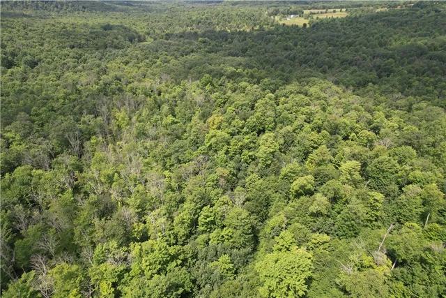 $139,900 | -held #12 Held Road, Erin, NY 14838