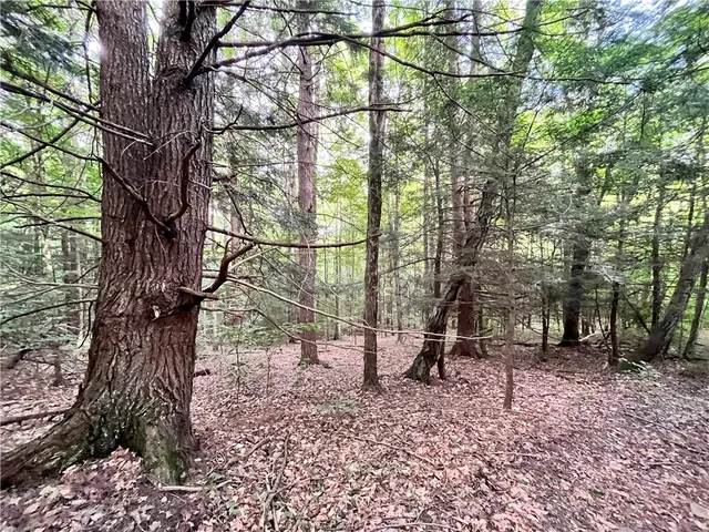 $139,900 | -held #12 Held Road, Erin, NY 14838