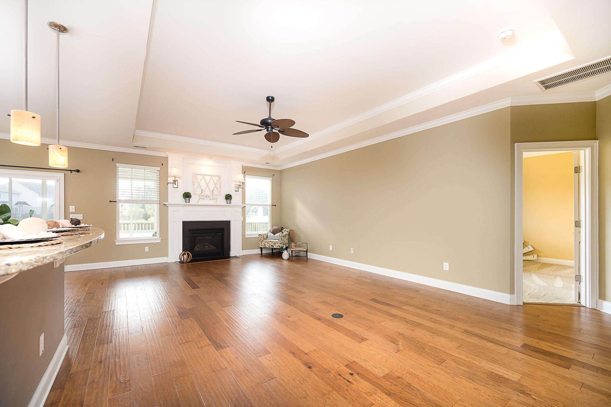 151 Royal Star Road Summerville, SC 29486 - Photo 14 of 54 Tray Ceiling