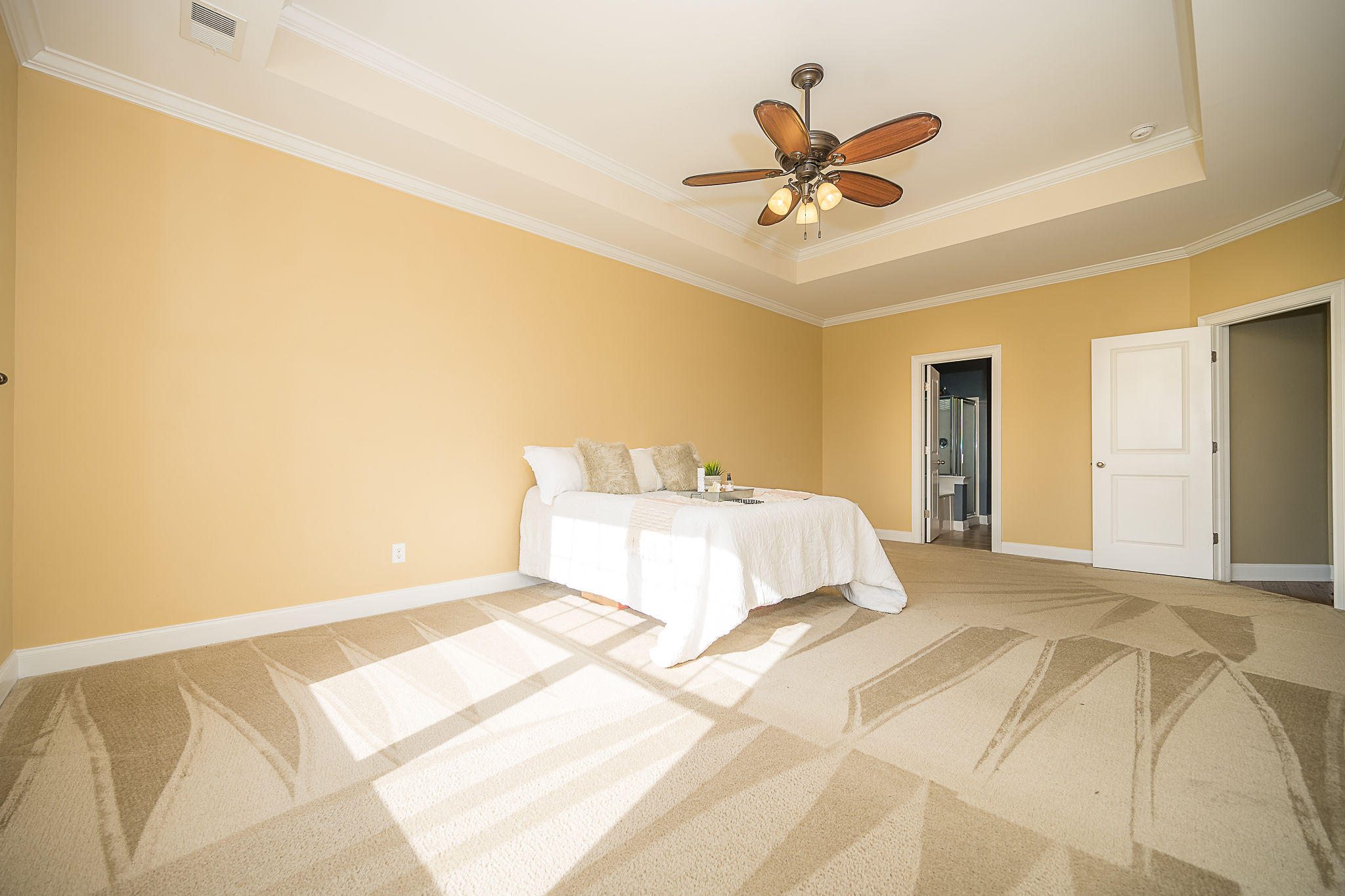 151 Royal Star Road Summerville, SC 29486 - Photo 16 of 54 Master Tray Ceiling