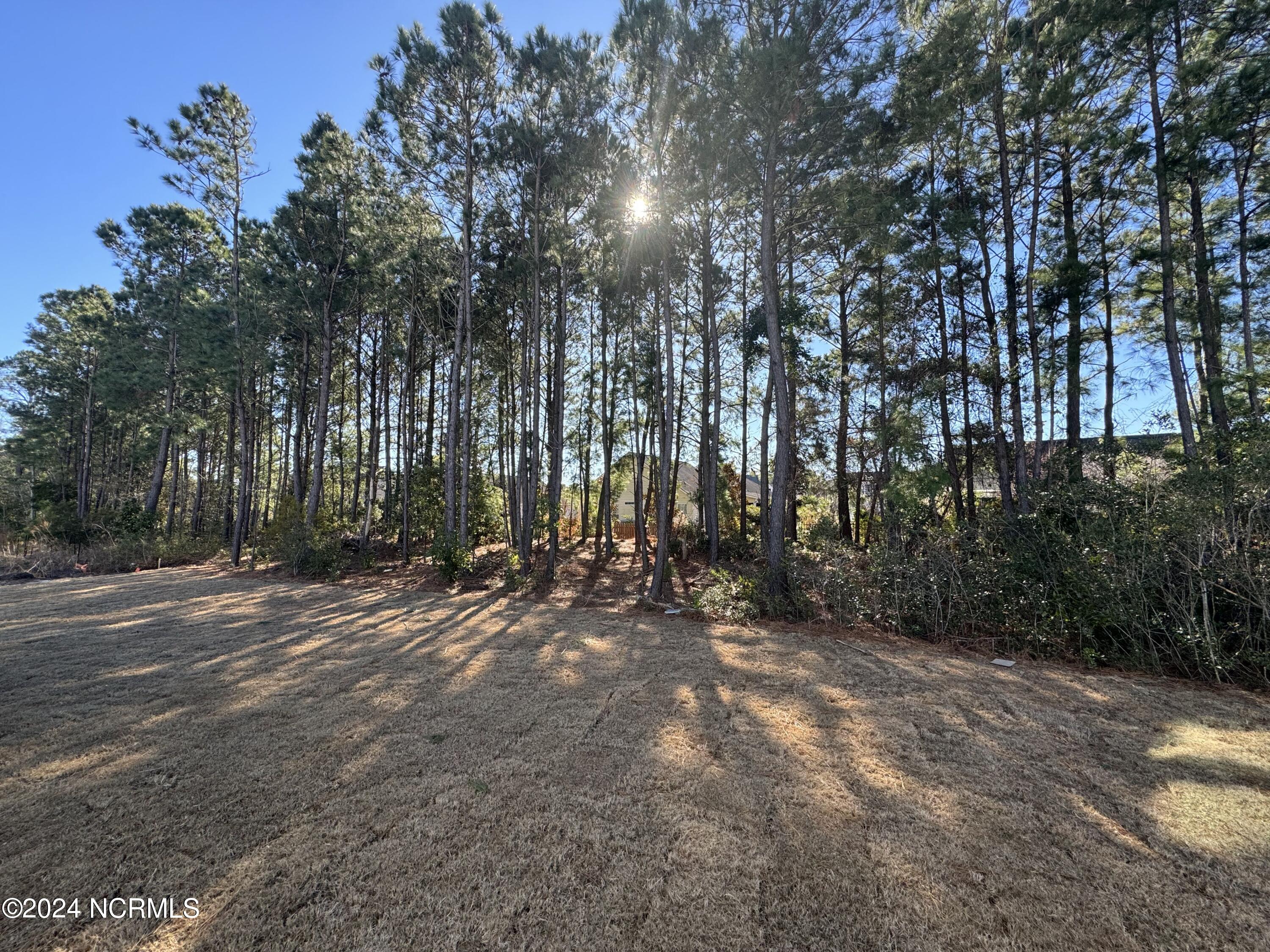 28 Perch Place Hampstead, NC 28443 - Photo 26 of 27 IMG_8594