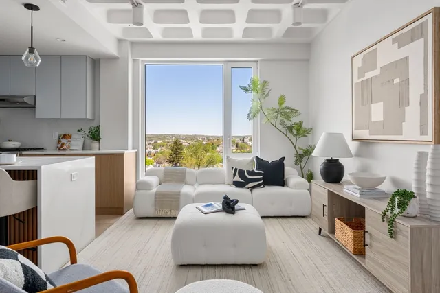 a living room with furniture and a potted plant