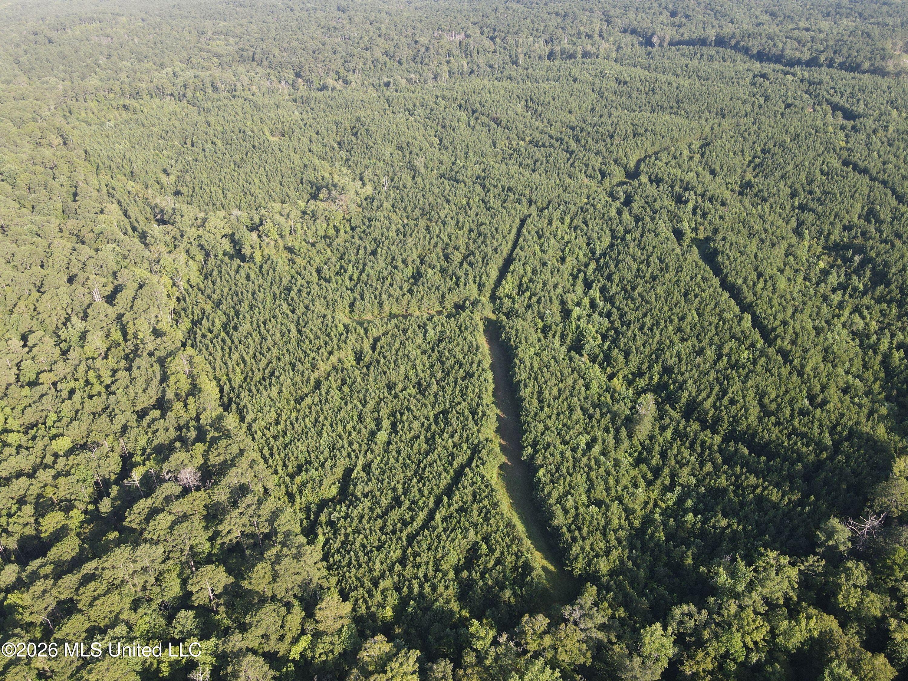 Cupit Rd Union Union Church, MS 39668 - Photo 17 of 61 DJI_0723