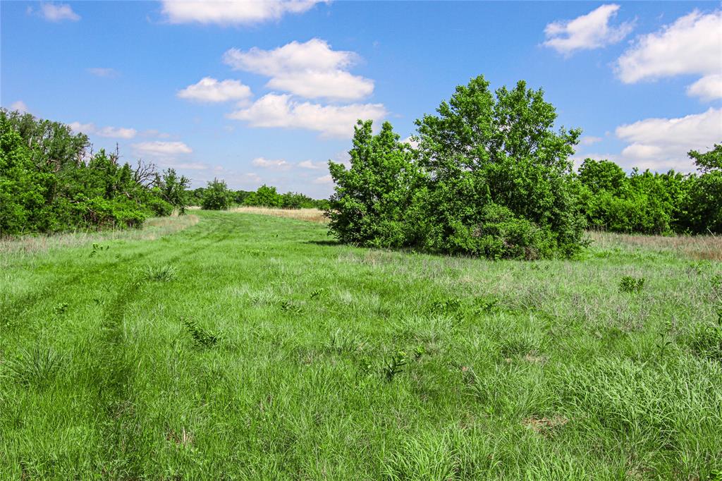 Tbd Merritt Road Forestburg, TX 76239 - Photo 11 of 32 Gallery Image 11