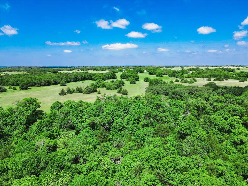Tbd Merritt Road Forestburg, TX 76239 - Photo 16 of 32 Gallery Image 16