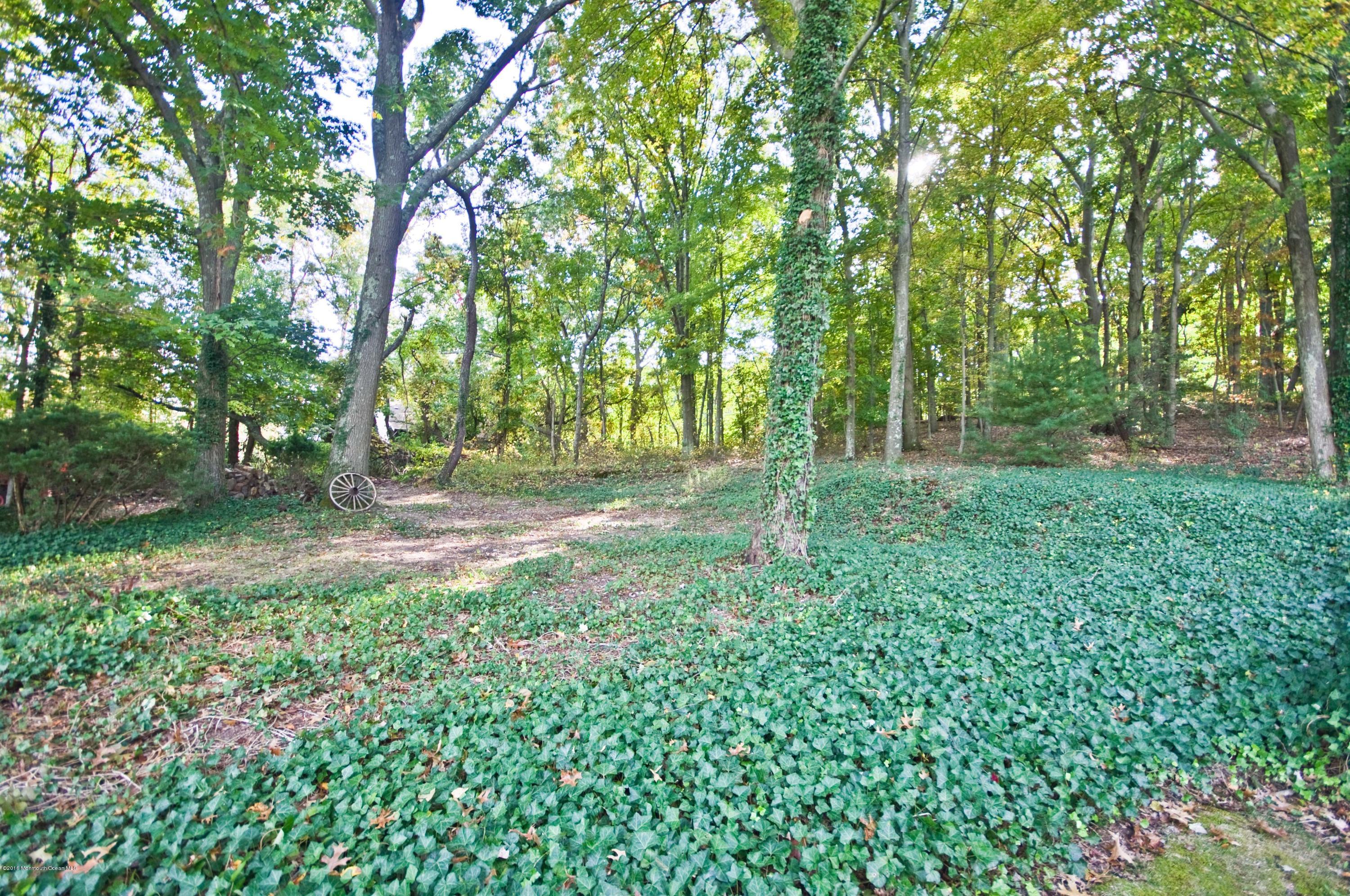 59 Chambers Road Allentown, NJ 08501 - Photo 24 of 27 BACK YARD