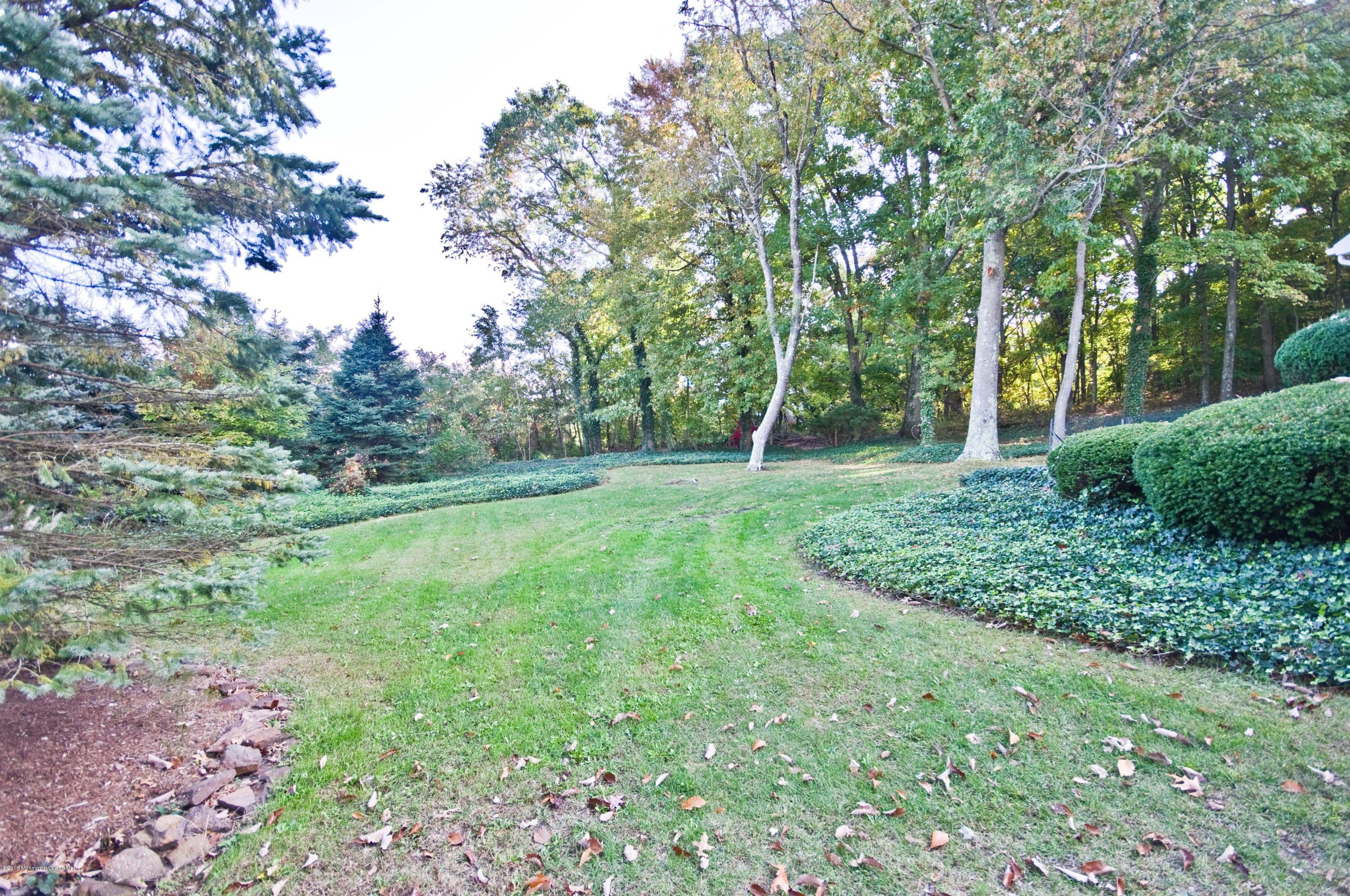 59 Chambers Road Allentown, NJ 08501 - Photo 3 of 27 FRONT YARD