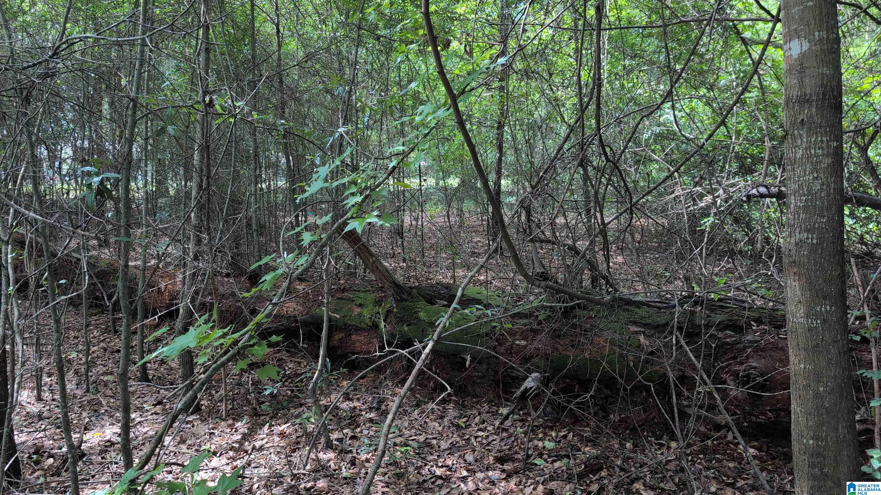 1 Ac /- Coosada Road, Unit 1 Millbrook, AL 36054 - Photo 9 of 11