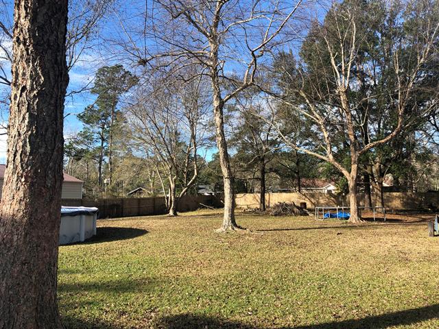 113 Whitesville Road Moncks Corner, SC 29461 - Photo 15 of 15 Pic 2