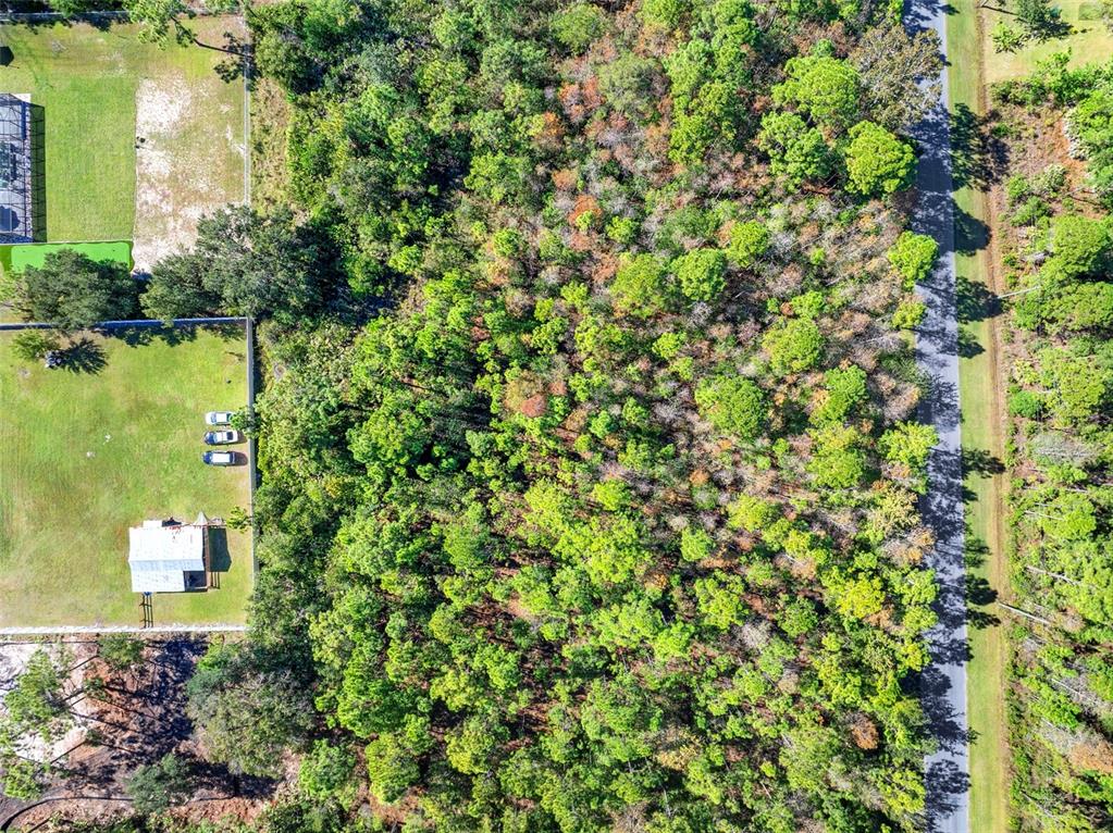 Lansdowne Street Orlando, FL 32833 - Photo 7 of 16