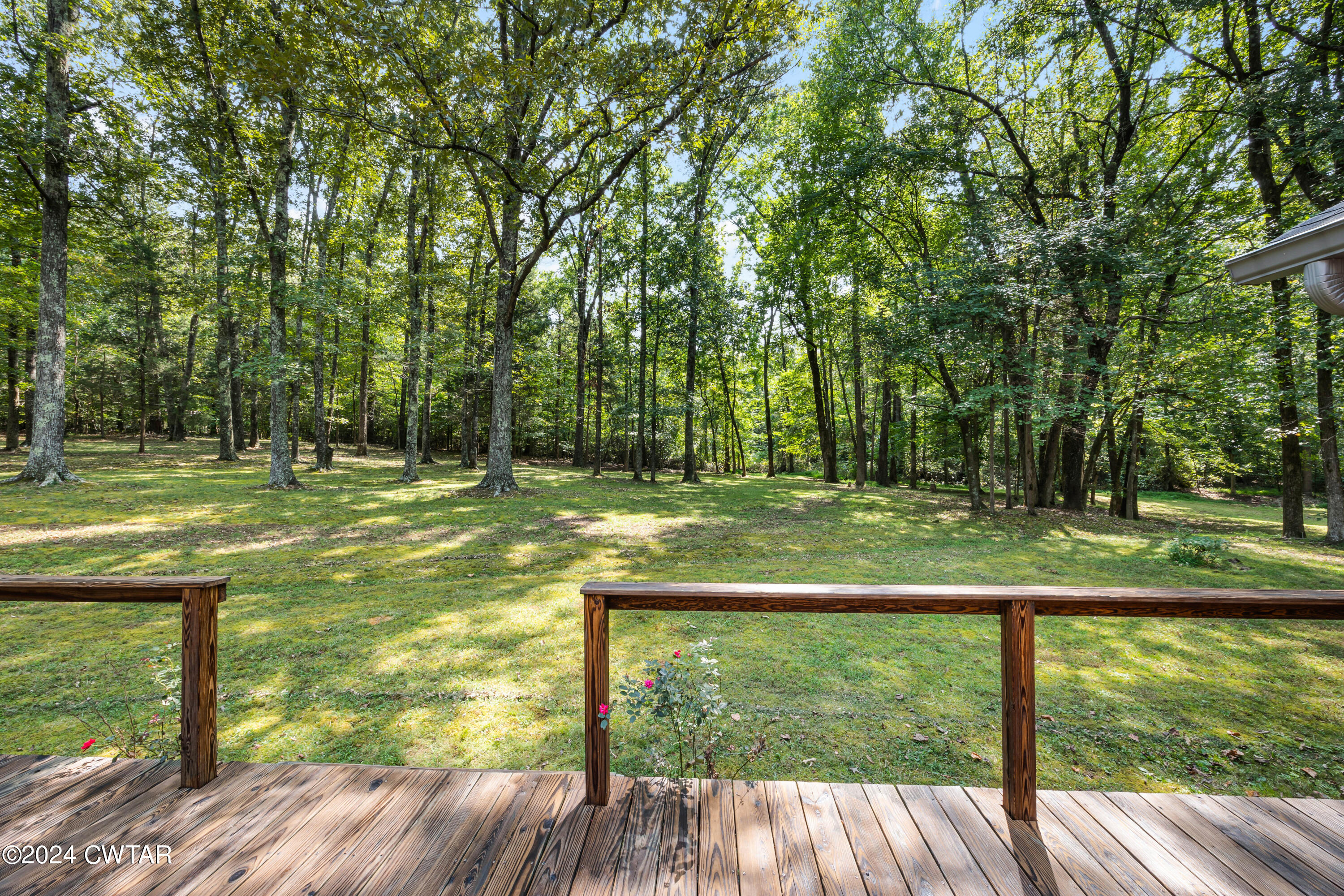 237 Daniel Road Jackson, TN 38305 - Photo 22 of 29 Backyard