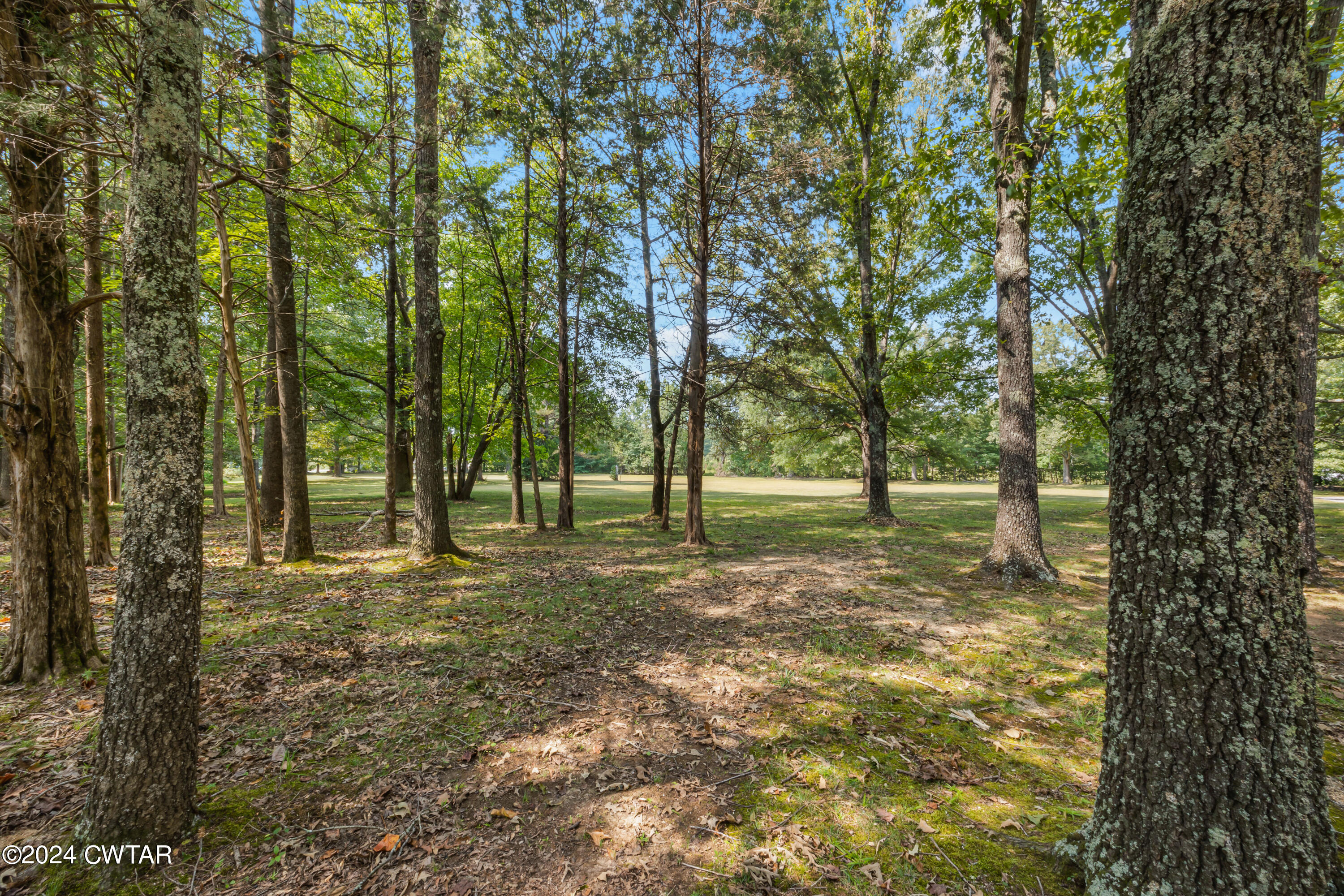 237 Daniel Road Jackson, TN 38305 - Photo 3 of 29 Yard