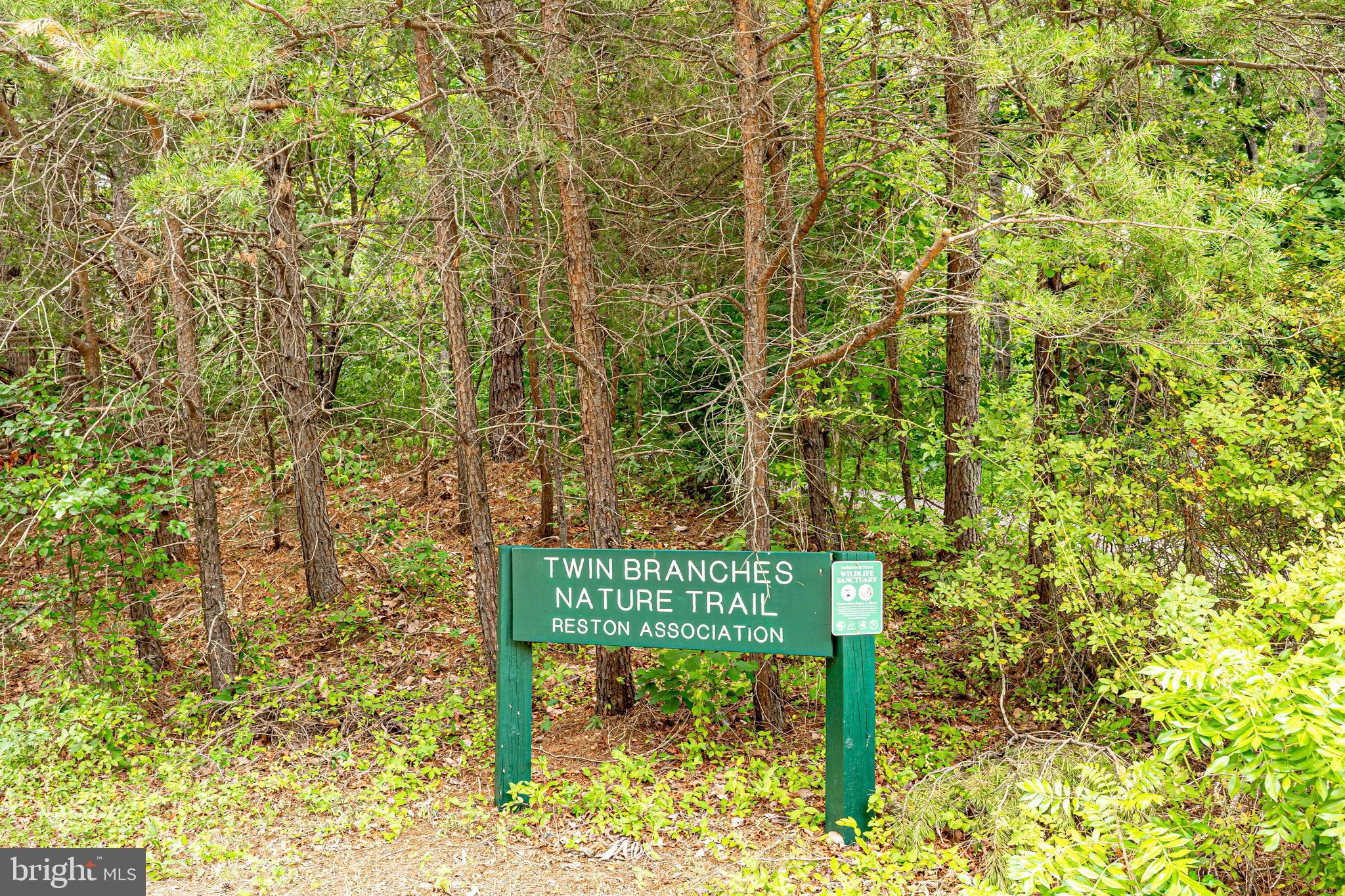 11962 Sentinel Point Court Reston, VA 20191 - Photo 60 of 62 Twin Branches Nature Trail is just down the street