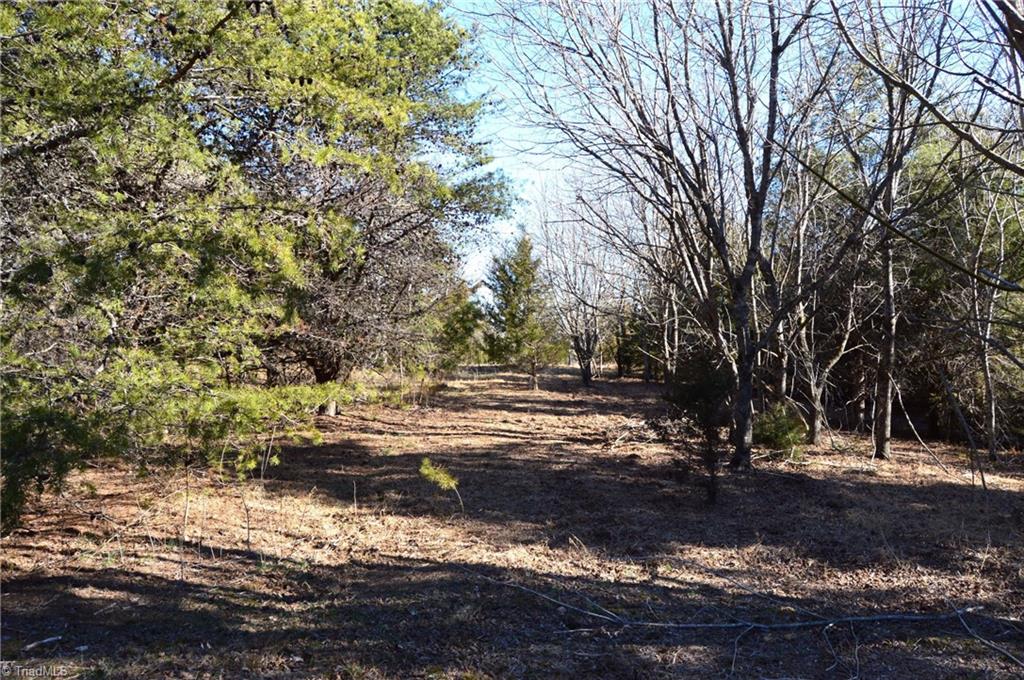 0 Hanging Rock Park Road Danbury, NC 27016 - Photo 11 of 38