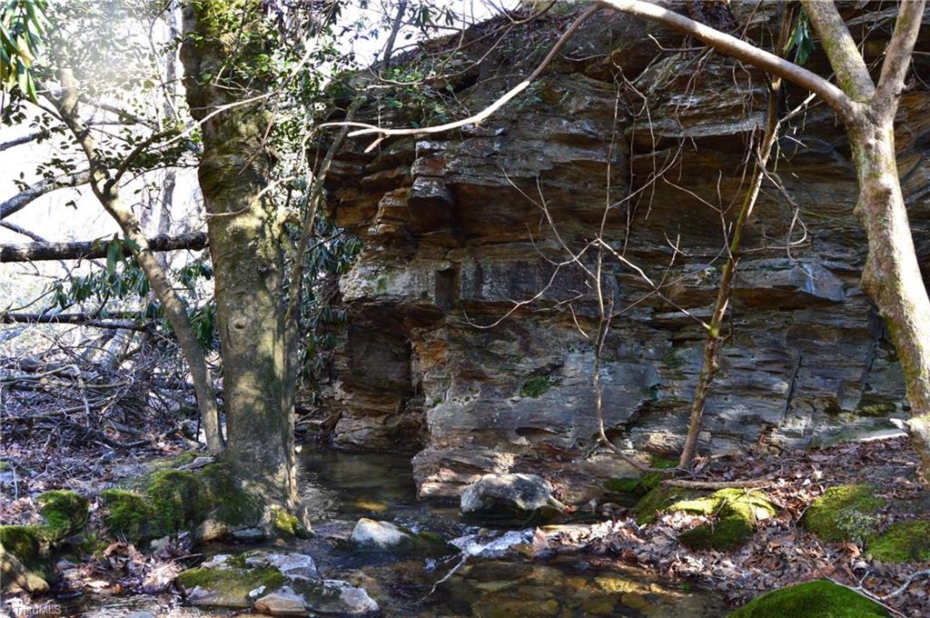 0 Hanging Rock Park Road Danbury, NC 27016 - Photo 15 of 38