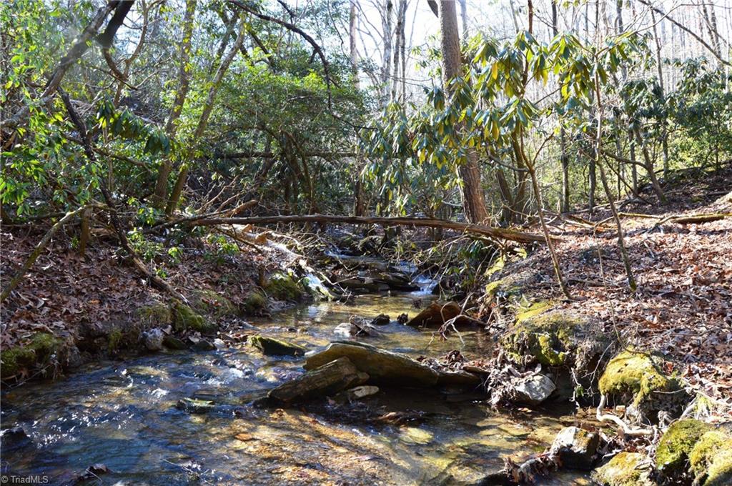 0 Hanging Rock Park Road Danbury, NC 27016 - Photo 18 of 38