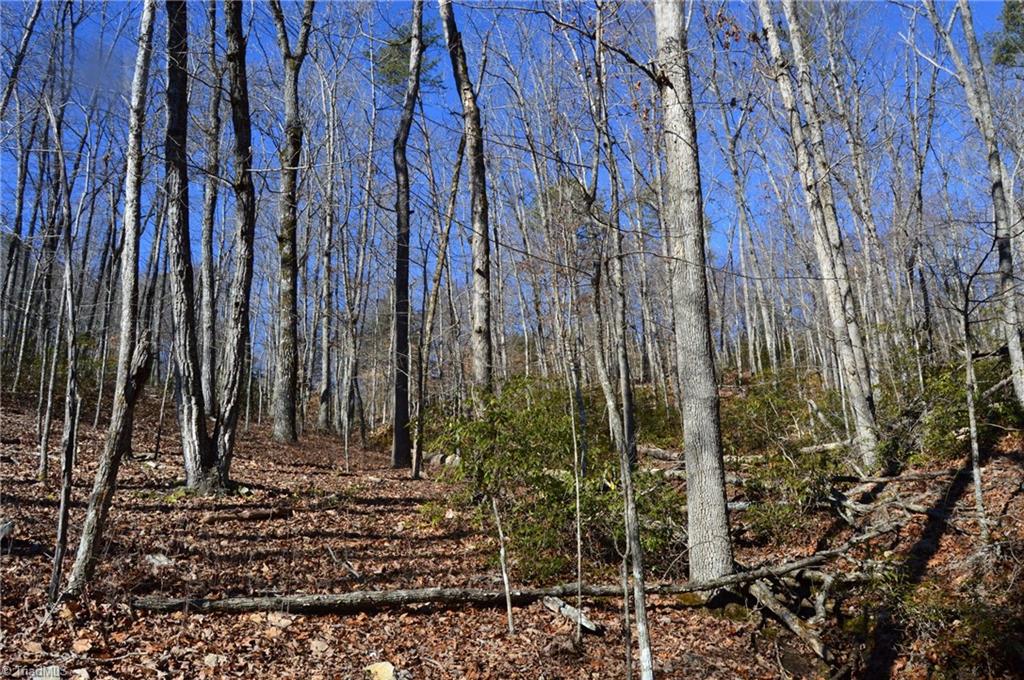 0 Hanging Rock Park Road Danbury, NC 27016 - Photo 19 of 38