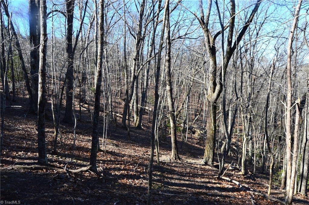 0 Hanging Rock Park Road Danbury, NC 27016 - Photo 20 of 38