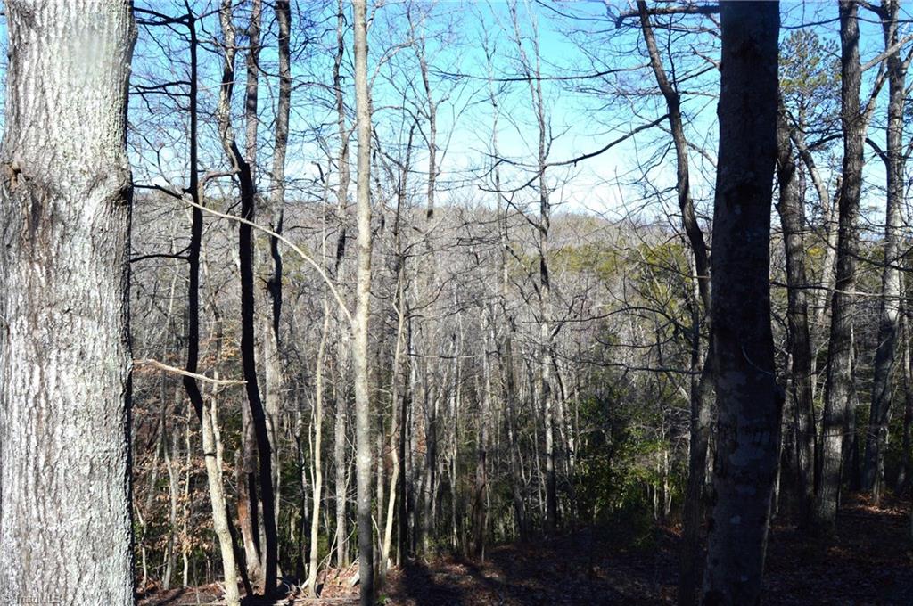 0 Hanging Rock Park Road Danbury, NC 27016 - Photo 21 of 38