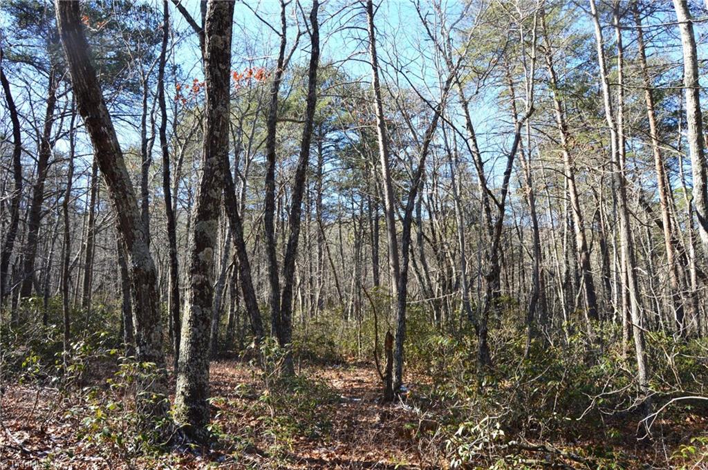 0 Hanging Rock Park Road Danbury, NC 27016 - Photo 23 of 38