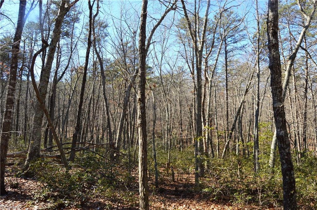 0 Hanging Rock Park Road Danbury, NC 27016 - Photo 24 of 38