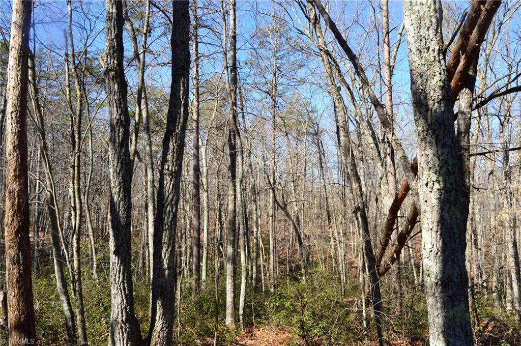 0 Hanging Rock Park Road Danbury, NC 27016 - Photo 25 of 38