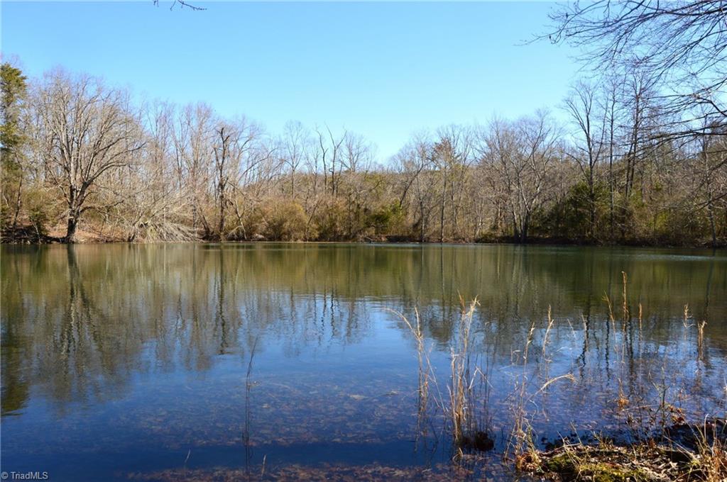 0 Hanging Rock Park Road Danbury, NC 27016 - Photo 26 of 38