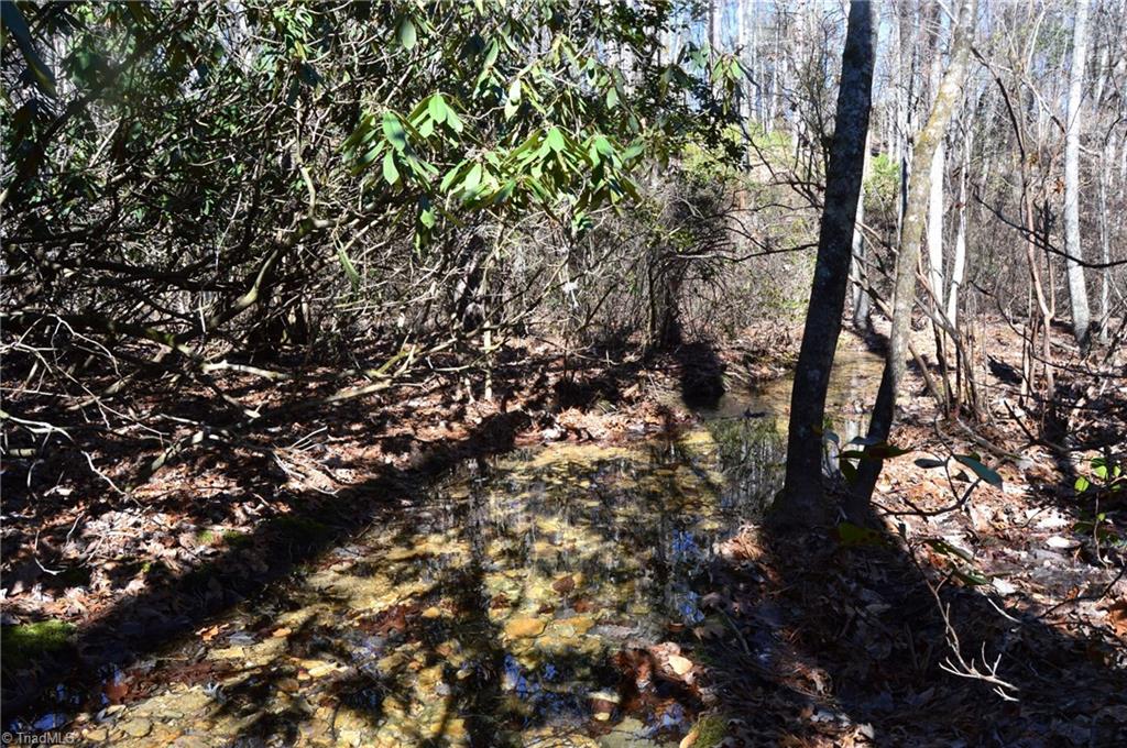 0 Hanging Rock Park Road Danbury, NC 27016 - Photo 27 of 38