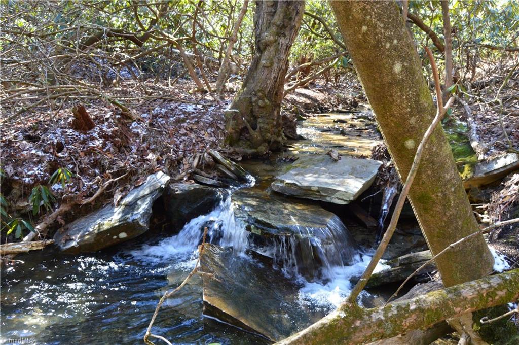 0 Hanging Rock Park Road Danbury, NC 27016 - Photo 28 of 38