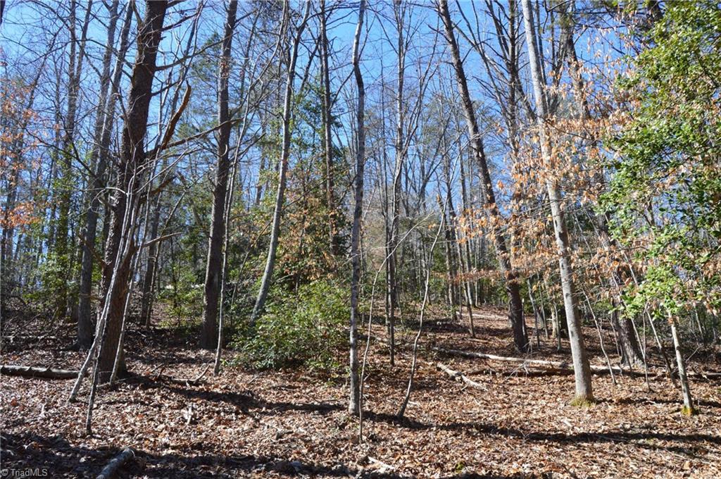 0 Hanging Rock Park Road Danbury, NC 27016 - Photo 29 of 38