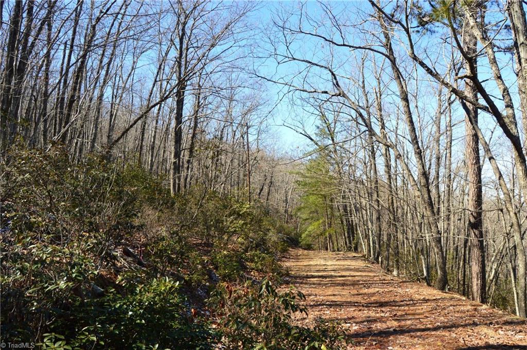 0 Hanging Rock Park Road Danbury, NC 27016 - Photo 30 of 38