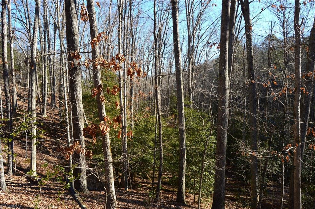 0 Hanging Rock Park Road Danbury, NC 27016 - Photo 3 of 38