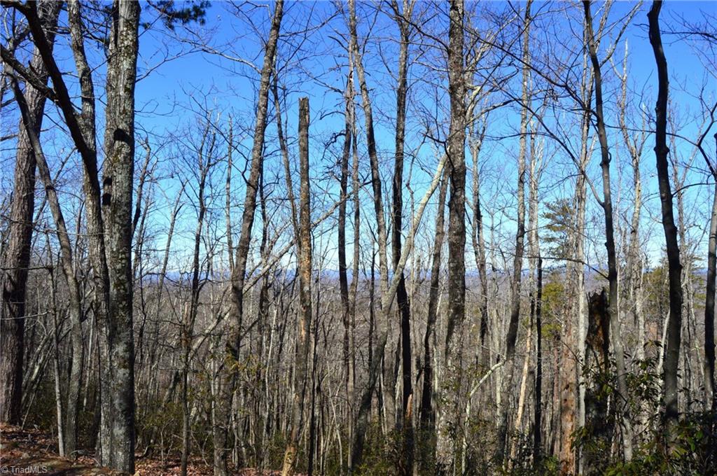 0 Hanging Rock Park Road Danbury, NC 27016 - Photo 31 of 38