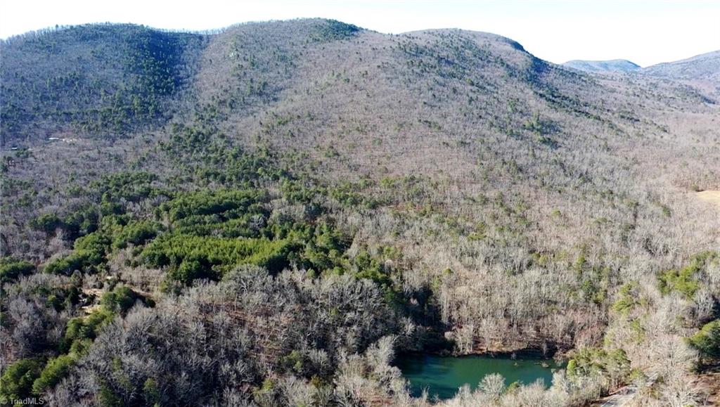 0 Hanging Rock Park Road Danbury, NC 27016 - Photo 33 of 38