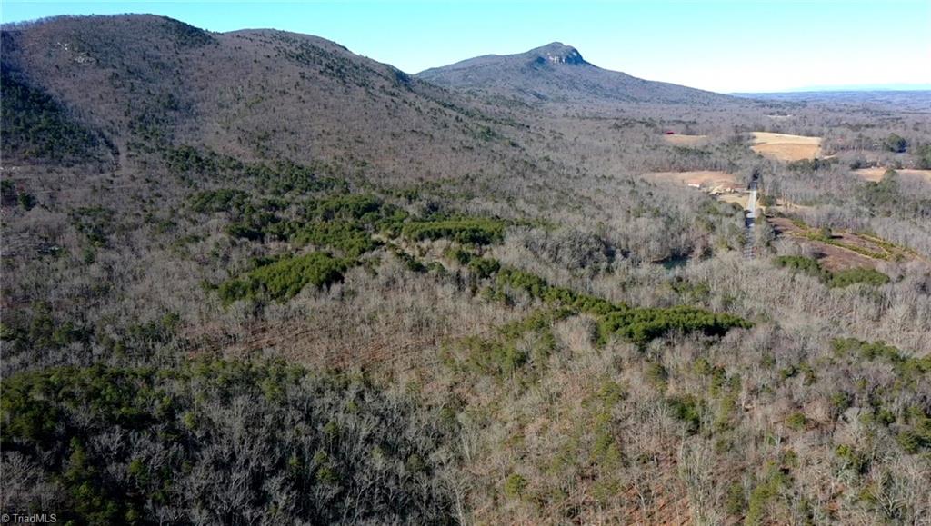 0 Hanging Rock Park Road Danbury, NC 27016 - Photo 35 of 38