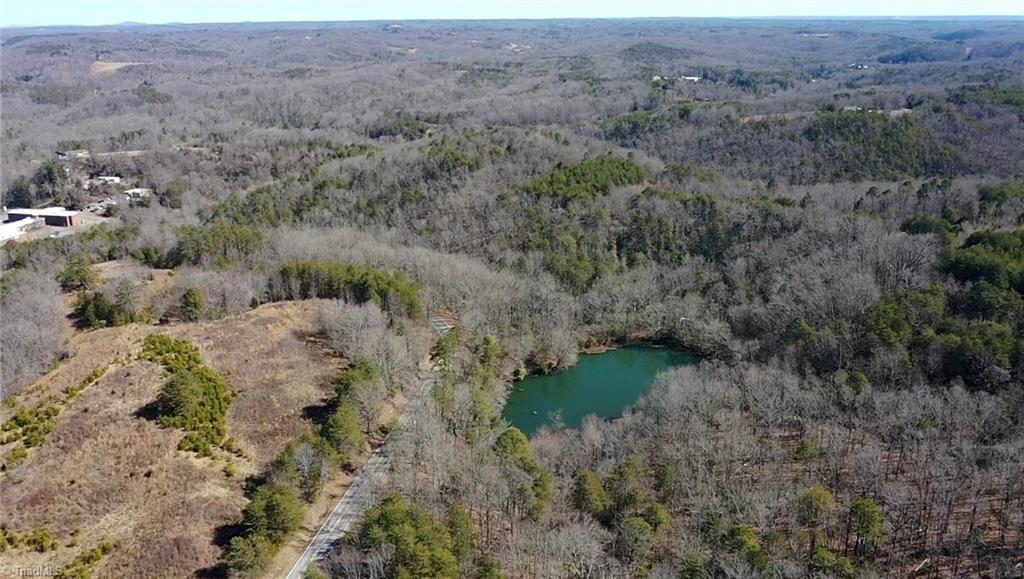 0 Hanging Rock Park Road Danbury, NC 27016 - Photo 38 of 38