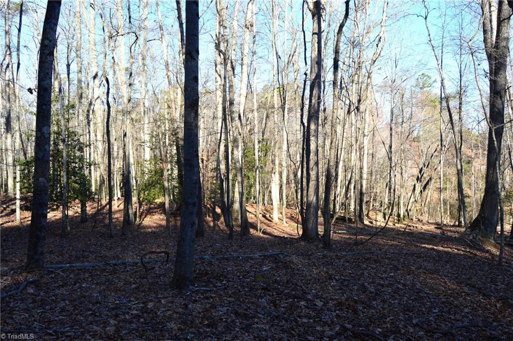 0 Hanging Rock Park Road Danbury, NC 27016 - Photo 4 of 38