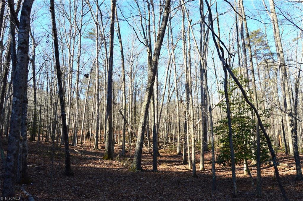 0 Hanging Rock Park Road Danbury, NC 27016 - Photo 5 of 38