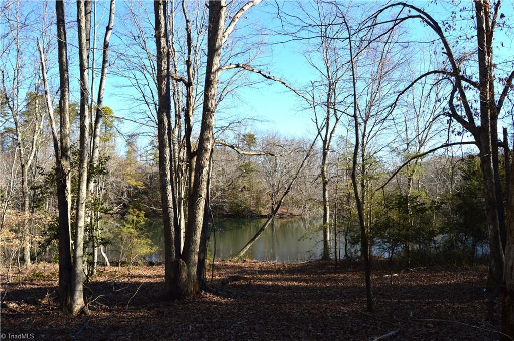 0 Hanging Rock Park Road Danbury, NC 27016 - Photo 6 of 38