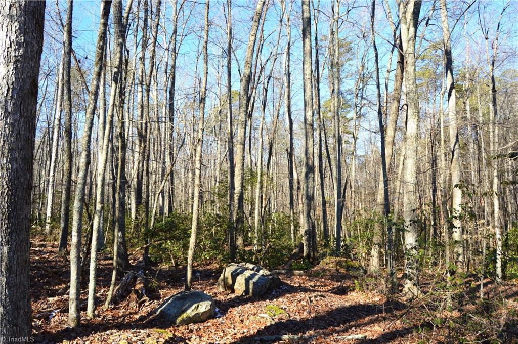 0 Hanging Rock Park Road Danbury, NC 27016 - Photo 7 of 38