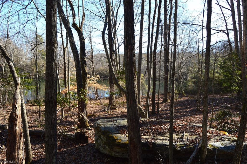 0 Hanging Rock Park Road Danbury, NC 27016 - Photo 8 of 38
