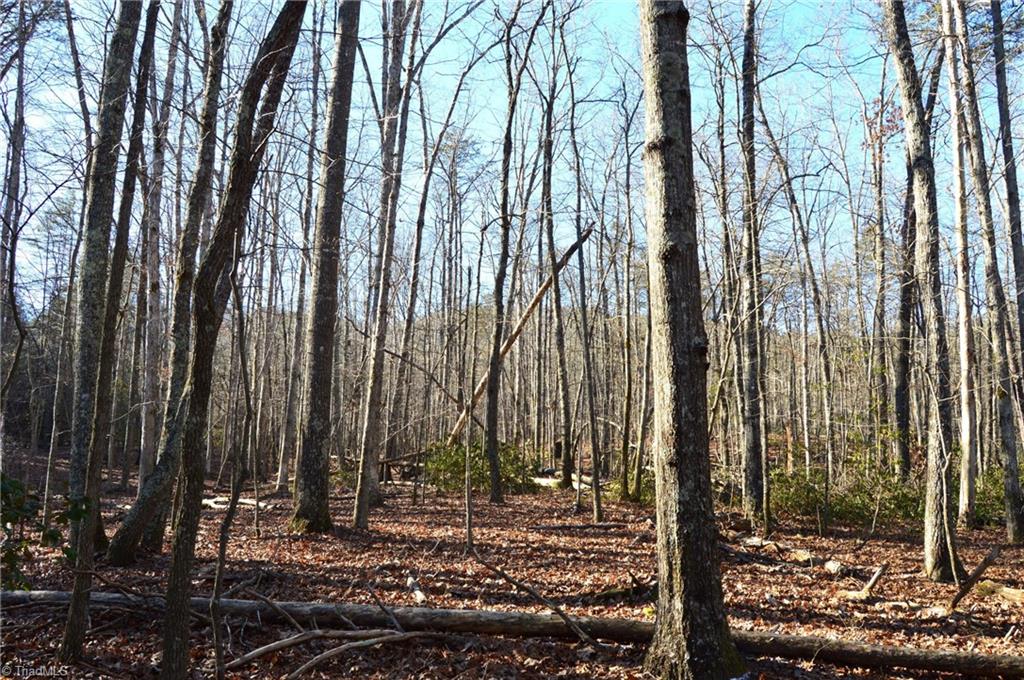 0 Hanging Rock Park Road Danbury, NC 27016 - Photo 9 of 38