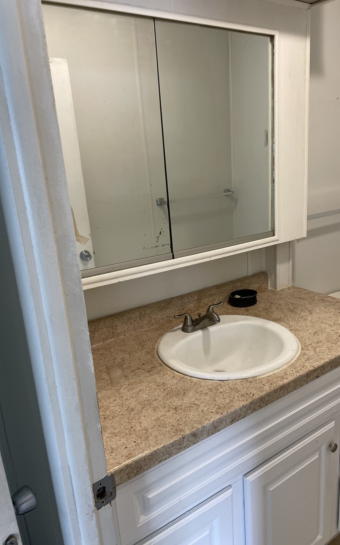 237 Parkwood Road Elgin, IL 60123 - Photo 13 of 15 a bathroom with a sink and a mirror